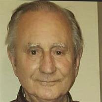 David M Simon