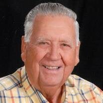 Mr. John C. Briscoe Sr.