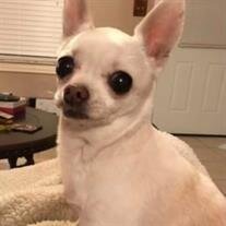 Maggie Mae
