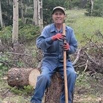 Waldo Ben Torres