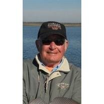 David C Hayes