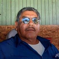 Santos del Toro