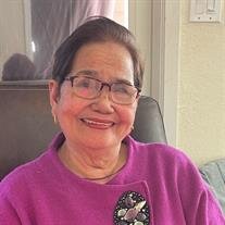 Nenita N. Rocolcol