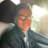 Joey Lee Aleman Jr.