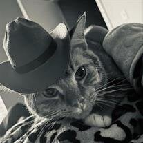 Baby Simba Hendricks