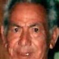 Domingo M. Rodriguez