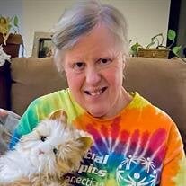 Christine A. Bilyak