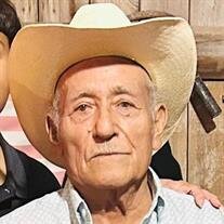 Abelardo Alaffa