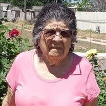 Delfina Neria Mora