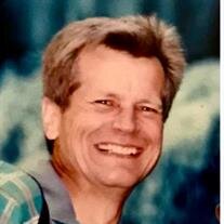 Mark L Lemke