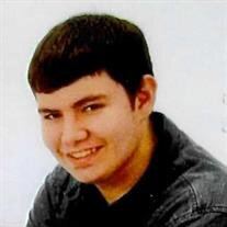 AUSTIN CRAIG HERR