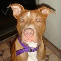 Dutchess (Wutchess) Martinez
