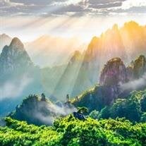 Guoqing Yu