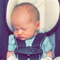 Harlow Nicole