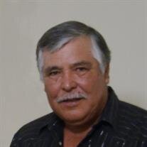 Guadalupe Bencomo-Romero