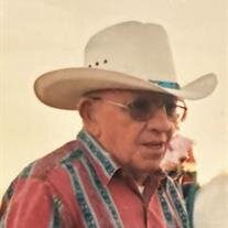 Paddy C. McGregor