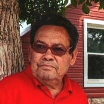 Hector De Los Santos Avalos