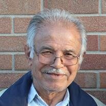 Ioannis F. Petsalis