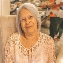 Carolyn Sue McElroy