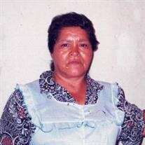 Maria Luisa Palacios Luna