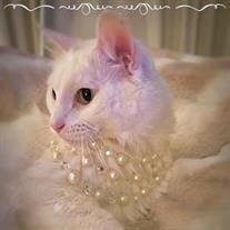 Pearl Evans
