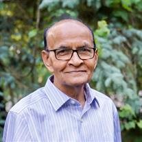 Chandubhai J Patel