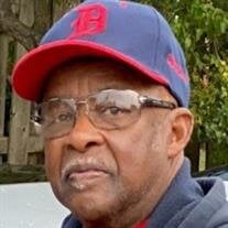 Mr. Joe Louis Alexander