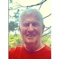 George R. Nizolek