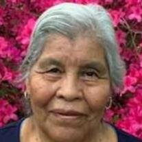 Ms. Alejandra Valez Rodriguez
