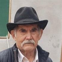 Pedro Arango-Diaz