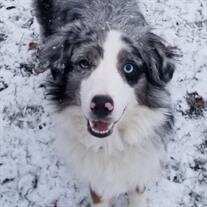 Dakota Kukuruda
