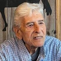 Jose M. Diguardo