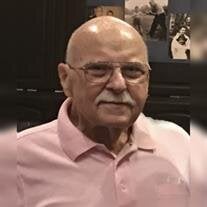 Mr. Anthony Gerard Lanza