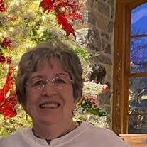 Sharon J. (Immel) Schein