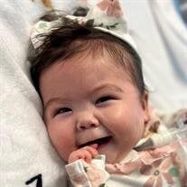 Riley Tuyet Demich