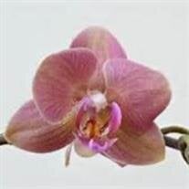 Christine Kay Hall