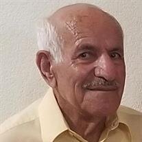 Anoushavan Yousefian Badalbou