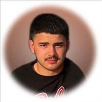 Dillan Elain Zubia
