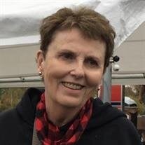 Susan Ann Higgins