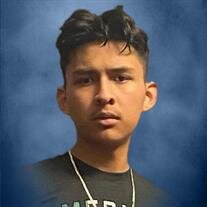 Jose Martin Ibarra-Vigueras Jr.