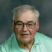 A. Lynn Schaeffer