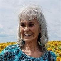 Janis V. Smith