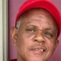 Mr. James Joyner Jr.