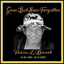 Pedro Luis Bonet