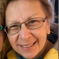 Dorothy J Schiffbauer