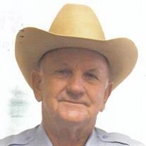 Mr. David Guy