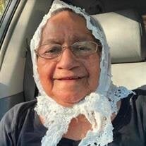 Rosa Candida Chicas - Ortiz