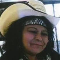 Martha Vargas-Lara
