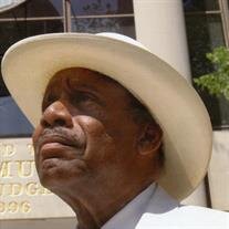 Hon. Arrie Wilson Davis