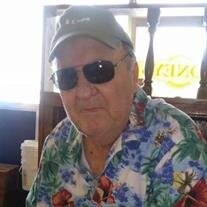 Jerry Levoy Mills